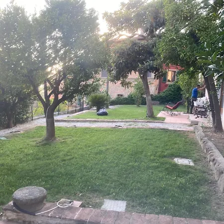 Sermolli